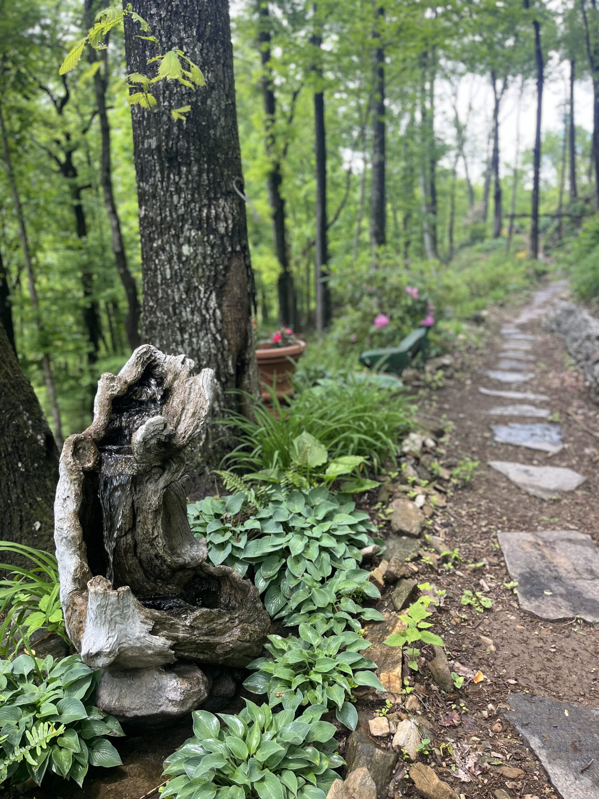 Image of peaceful path in lush mountains